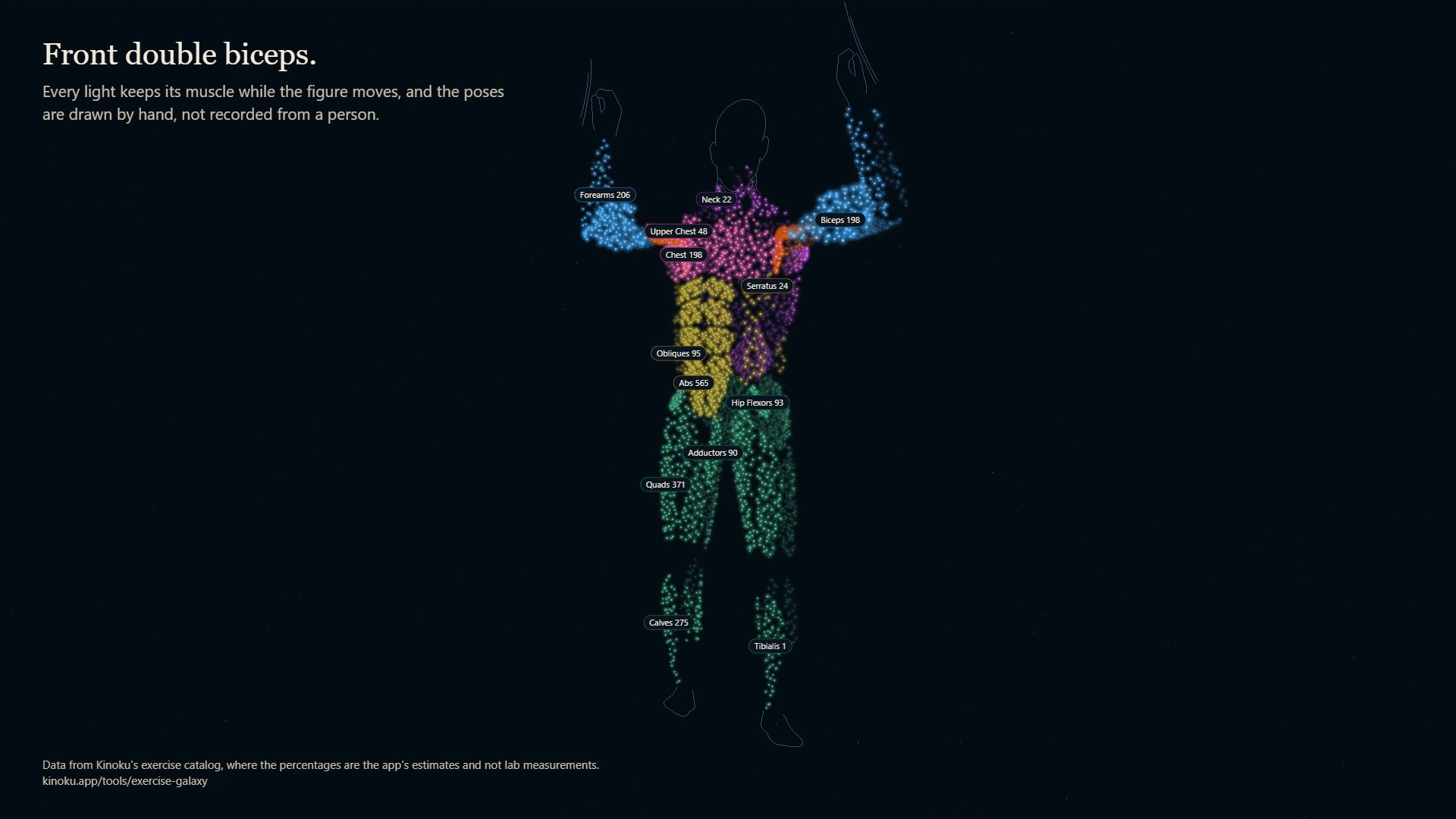 The browser galaxy changes into a body made from muscle lights