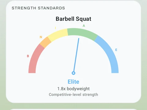 Kinoku Strength Standards screen populated with fictional sample training data.