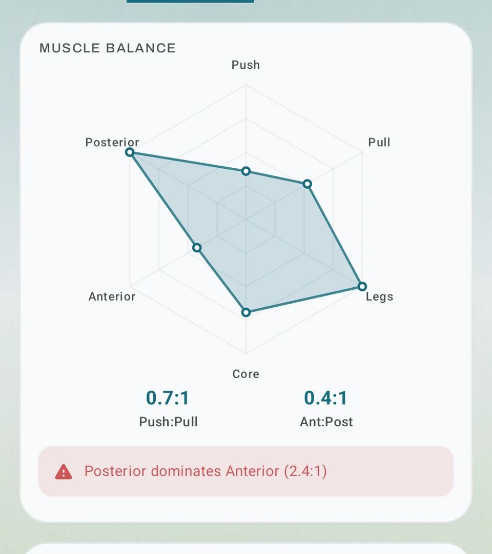 Pro Analytics showing a muscle-balance radar and push-to-pull and front-to-back ratios