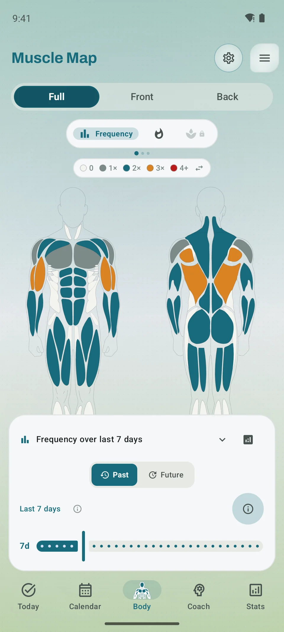 Kinoku Muscle Map showing front and back views of recent muscle training frequency
