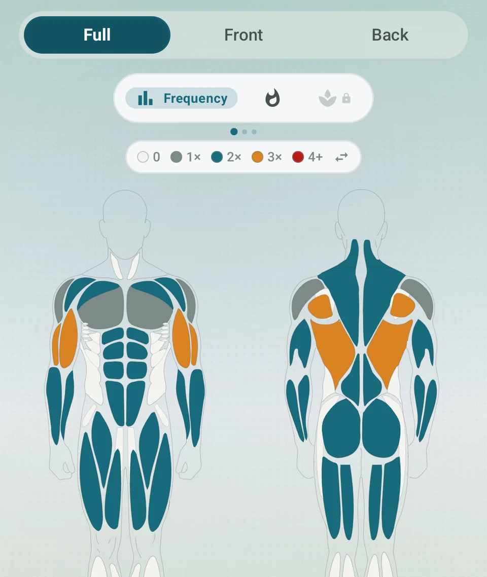 Front and back Muscle Map with a legend for training frequency