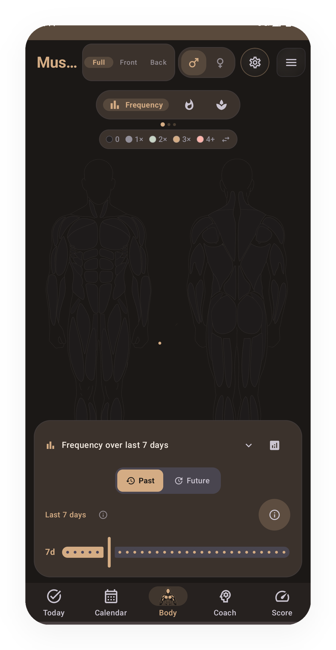 Body tab: Muscle Map with per-muscle volume rendered on the body overlay (Lotus theme)