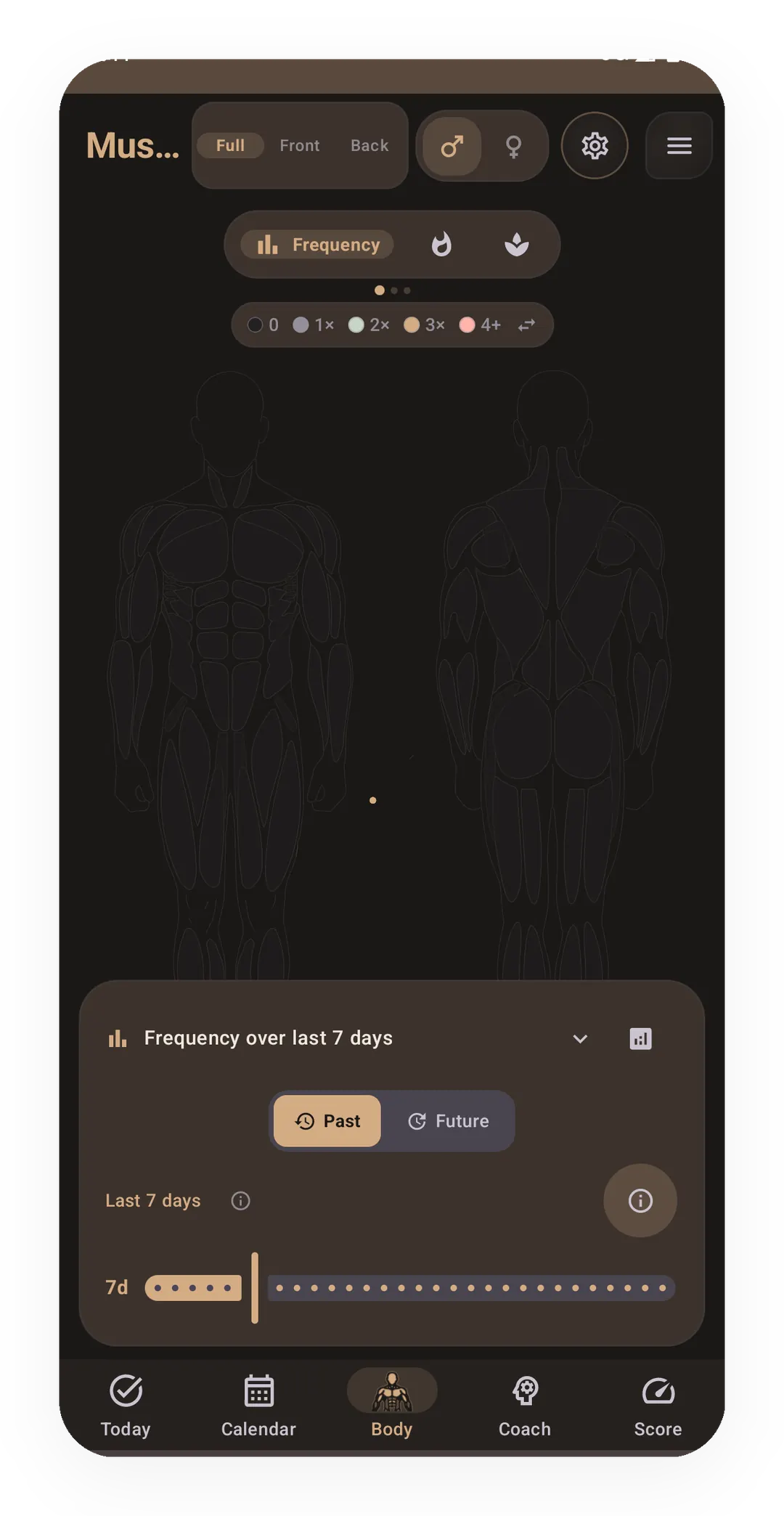 Body tab — Muscle Map