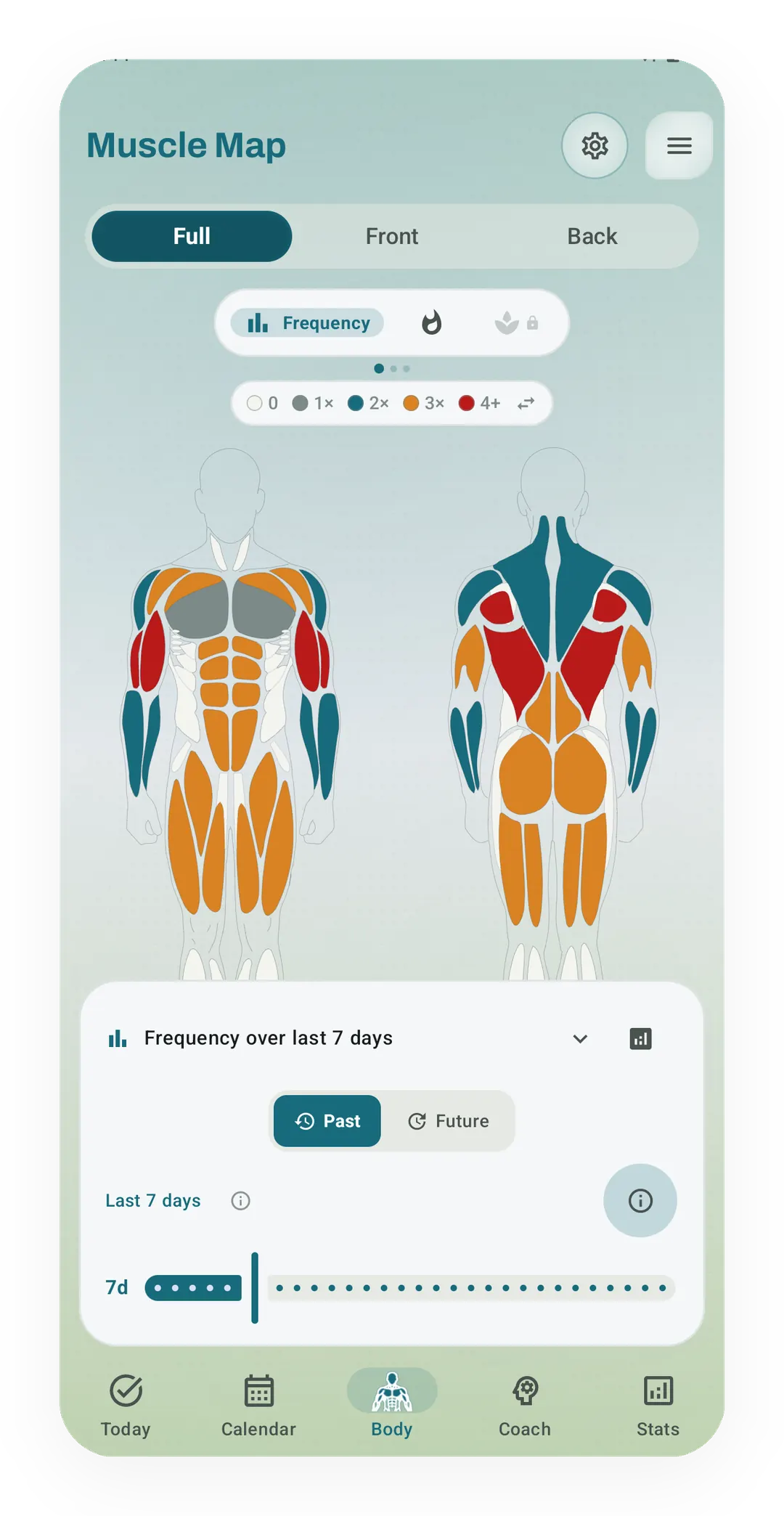 Muscle Map in Frequency mode, front and back, with each muscle colored by times trained in the last 7 days, on a scale from 0 to 4 or more