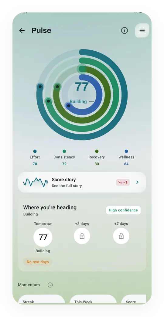 The Kinoku Score at 77 and building, with its effort, consistency, recovery and wellness rings and tomorrow's forecast.