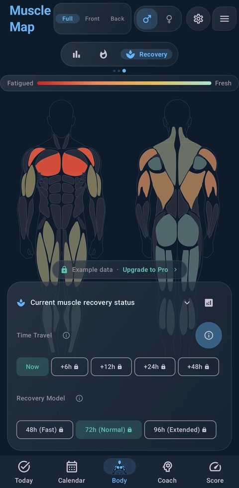 Recovery muscle map view